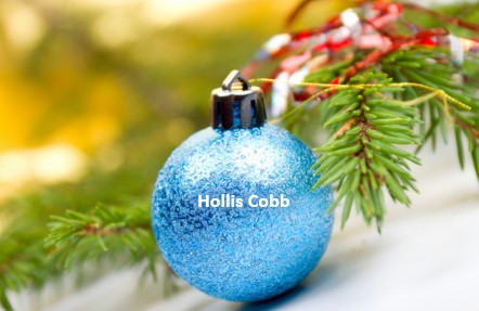 A Holiday Message to our Clients from the Team at Hollis Cobb