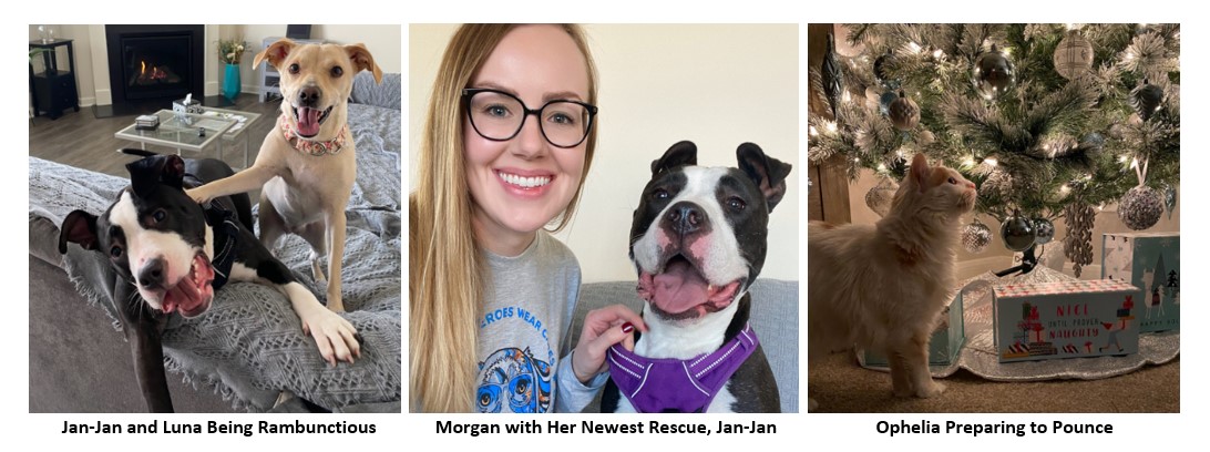 Hollis Cobb HR Financial Analyst Morgan Johnston with her Pets of the Week
